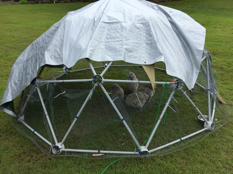 3 Metre Geodesic Dome Kit with Wire